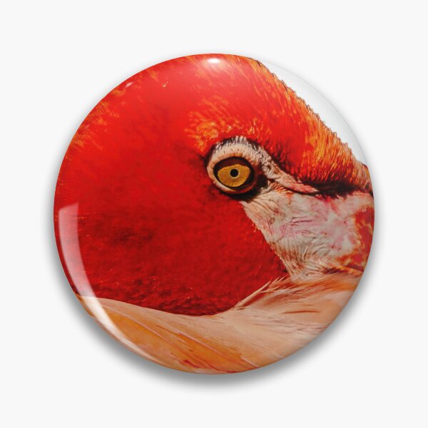 Item preview, Flamingo in the Pink designed and sold by Dalyndigital Photography.