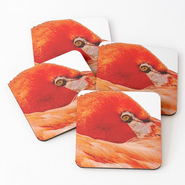 Item preview, Flamingo in the Pink designed and sold by Dalyndigital Photography.