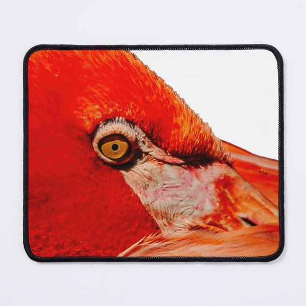 Item preview, Flamingo in the Pink designed and sold by Dalyndigital Photography.