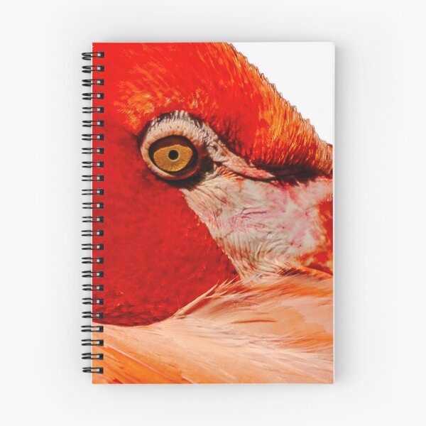 Item preview, Flamingo in the Pink designed and sold by Dalyndigital Photography.