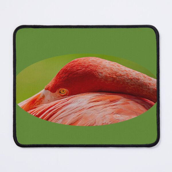 Item preview, I am watching! designed and sold by Dalyndigital Photography.