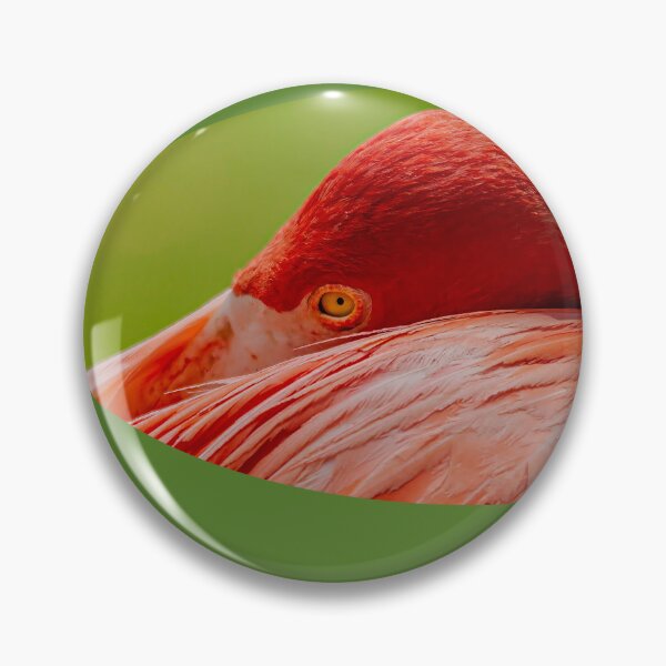 Item preview, I am watching! designed and sold by Dalyndigital Photography.