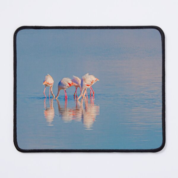 Item preview, Greater Flamingos go to Breakfast designed and sold by Dalyndigital Photography.