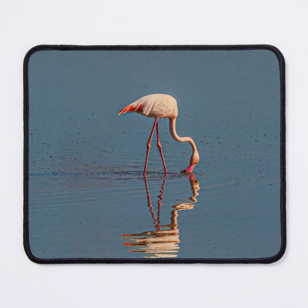 Item preview, Breakfast for one for one reflections designed and sold by Dalyndigital Photography.