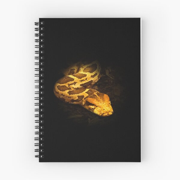 Item preview, Python designed and sold by Guardi71.
