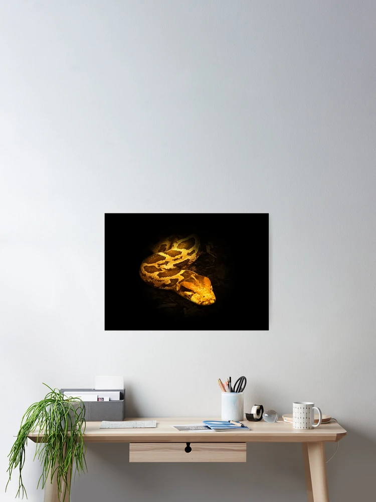 Thumbnail 2 of 3, Poster, Python designed and sold by Guardi71.
