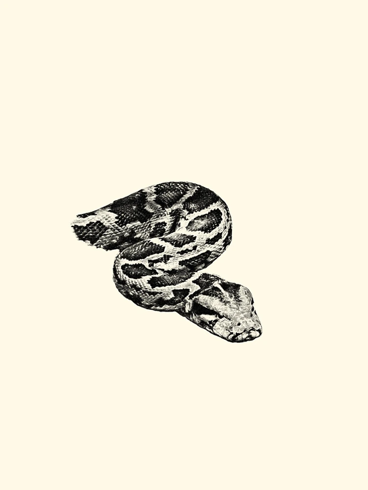 Thumbnail 4 of 4, iPhone Case, Python designed and sold by Guardi71.