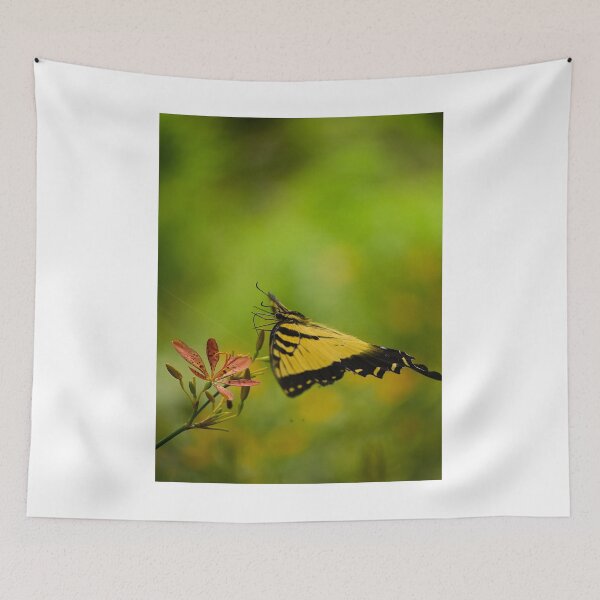 Item preview, Eastern Swallowtail Butterfly  designed and sold by MercerImages.