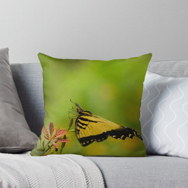 Item preview, Eastern Swallowtail Butterfly  designed and sold by MercerImages.