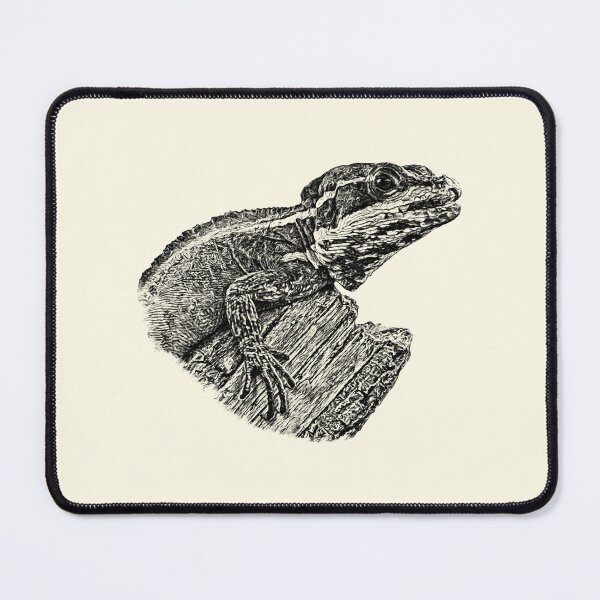 Item preview, Basilisk designed and sold by Guardi71.