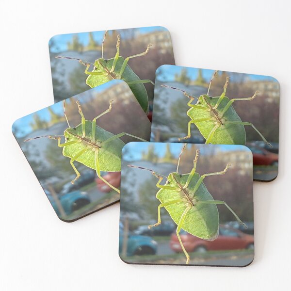 Item preview, Green insect on a window with an urban background designed and sold by Peter-Pan-S.