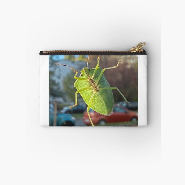 Item preview, Green insect on a window with an urban background designed and sold by Peter-Pan-S.