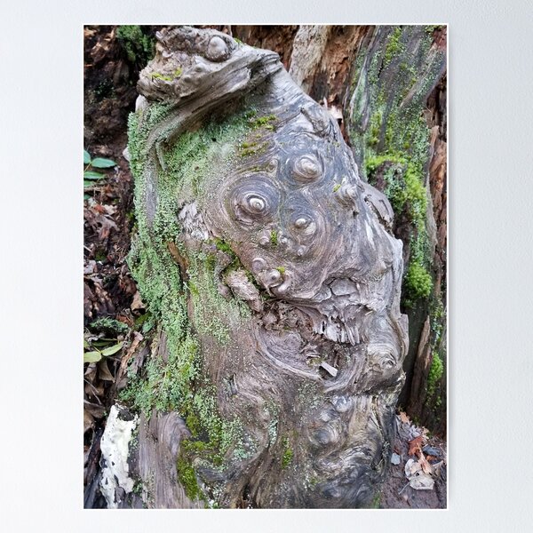 Item preview, Knotty Stump designed and sold by Darlirra.