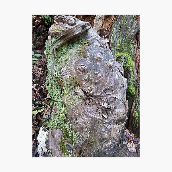 Item preview, Knotty Stump designed and sold by Darlirra.