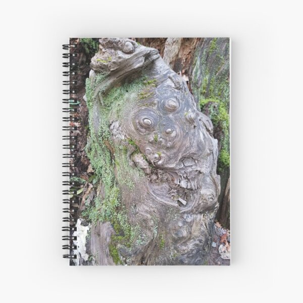 Item preview, Knotty Stump designed and sold by Darlirra.