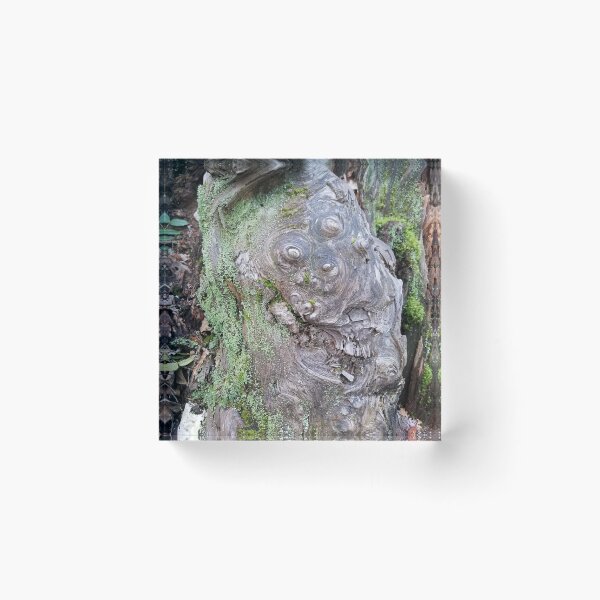 Item preview, Knotty Stump designed and sold by Darlirra.