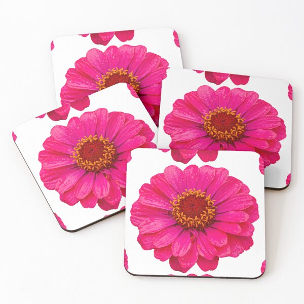 Item preview, Pink Osteospermum flower designed and sold by Dalyndigital Photography.