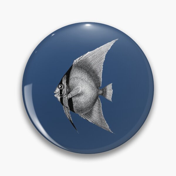 Item preview, Orbicula batfish, vintage engraving designed and sold by stevepaint.