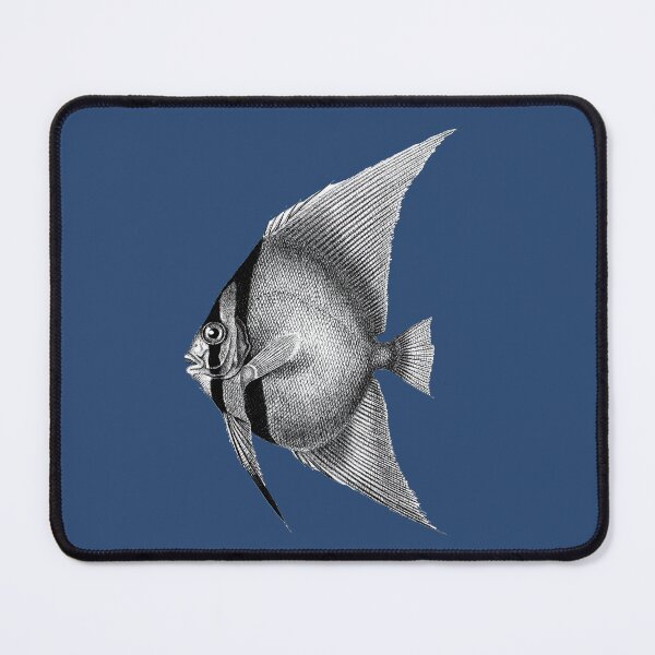 Item preview, Orbicula batfish, vintage engraving designed and sold by stevepaint.