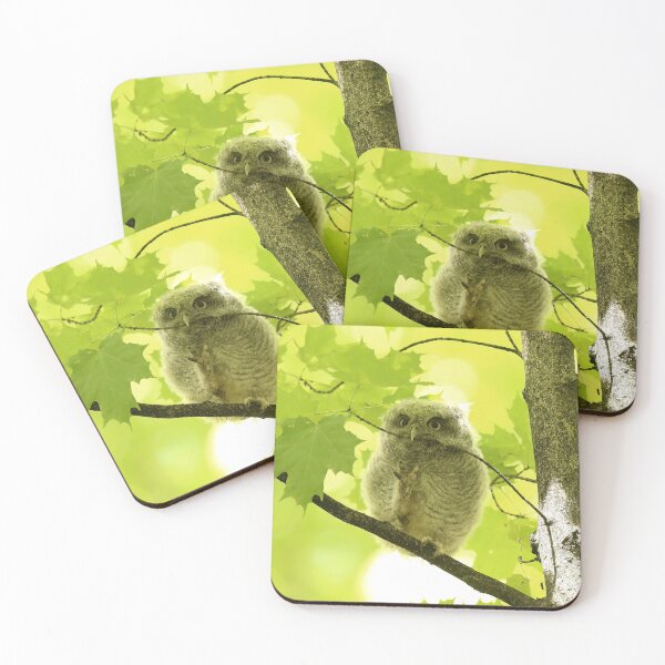 Item preview, Playful owlet designed and sold by locustgirl.