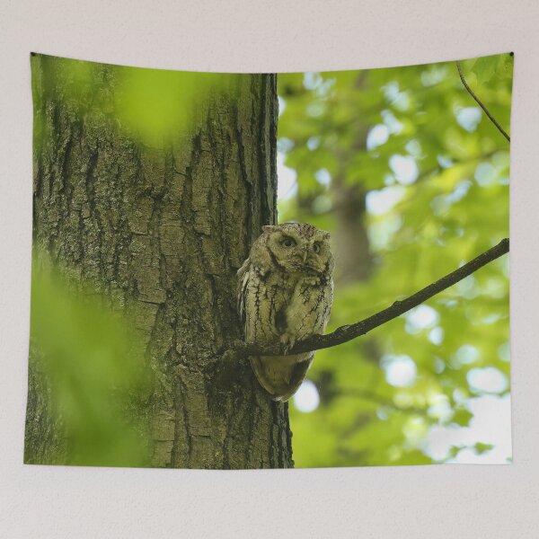 Item preview, Owl mom designed and sold by locustgirl.