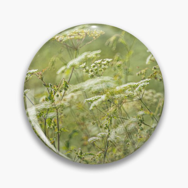 Item preview, Umbelliferae in a Wiltshire Hedgerow designed and sold by Redheadwonders.