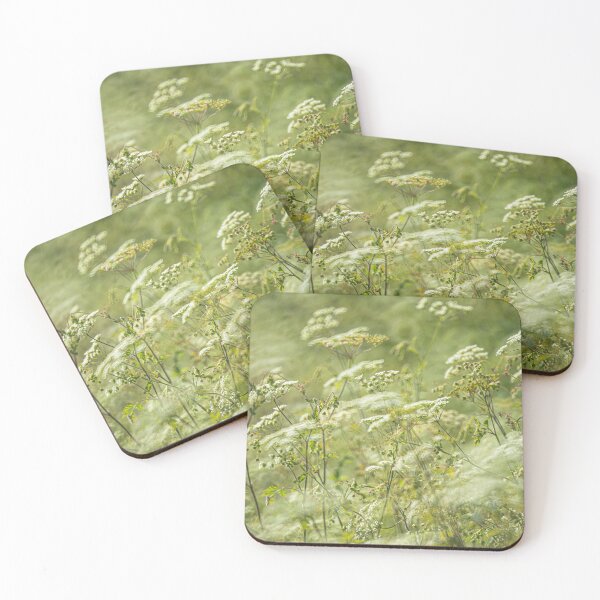 Item preview, Umbelliferae in a Wiltshire Hedgerow designed and sold by Redheadwonders.