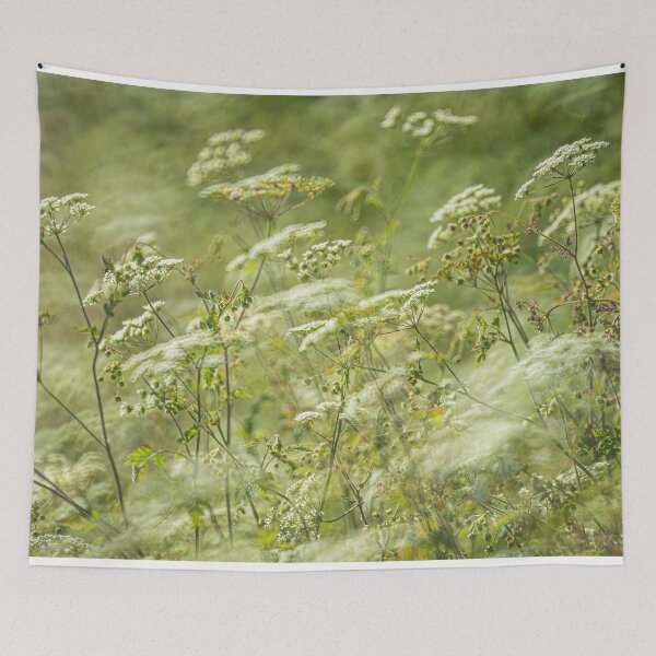 Item preview, Umbelliferae in a Wiltshire Hedgerow designed and sold by Redheadwonders.
