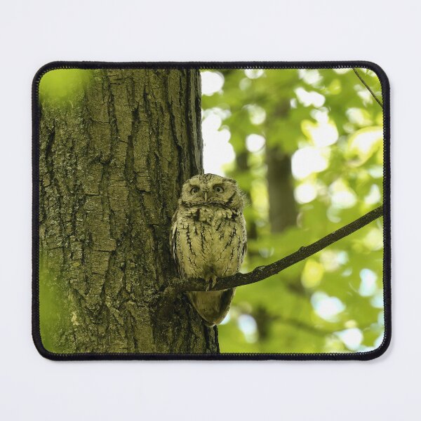 Item preview, Watchful designed and sold by locustgirl.