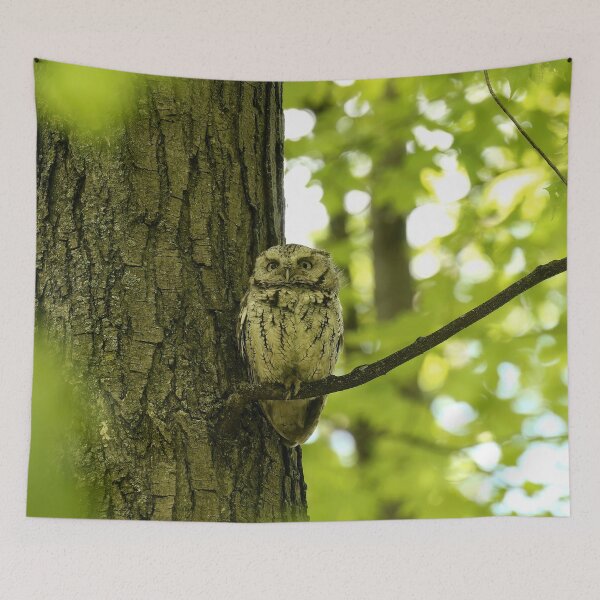 Item preview, Watchful designed and sold by locustgirl.