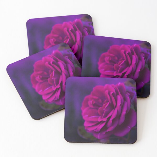Item preview, Pink garden rose with a purple vibe designed and sold by Layla Reim.