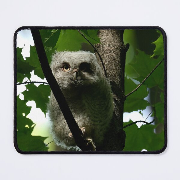 Item preview, Staring contest designed and sold by locustgirl.