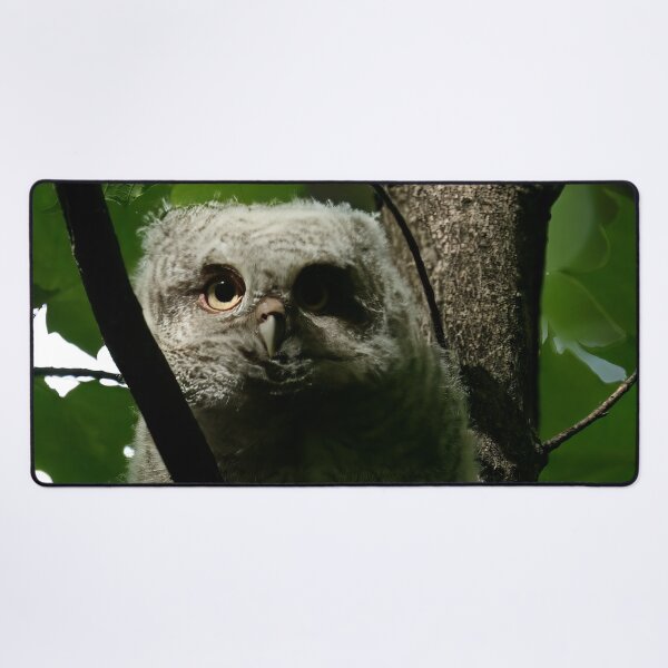 Item preview, Staring contest designed and sold by locustgirl.