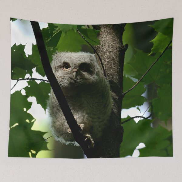 Item preview, Staring contest designed and sold by locustgirl.