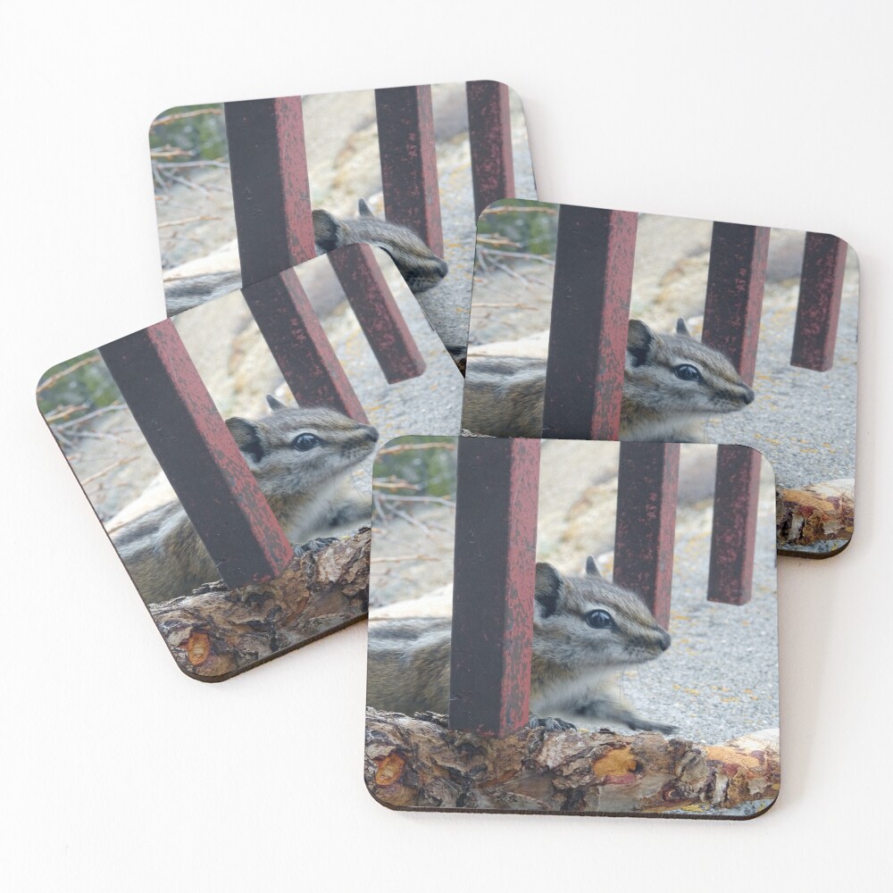 Item preview, Coasters (Set of 4) designed and sold by Rorymacve.