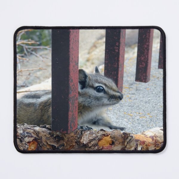 Item preview, Behind Bars designed and sold by Rorymacve.