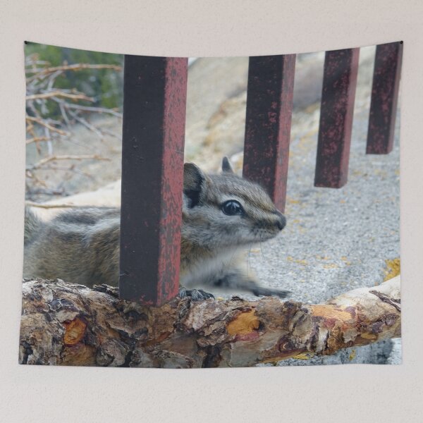Item preview, Behind Bars designed and sold by Rorymacve.
