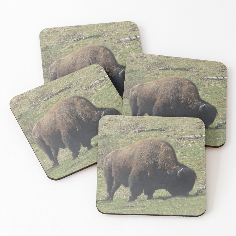 Item preview, Coasters (Set of 4) designed and sold by Rorymacve.