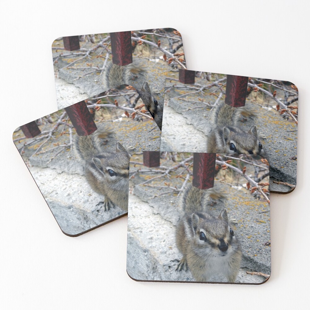Item preview, Coasters (Set of 4) designed and sold by Rorymacve.
