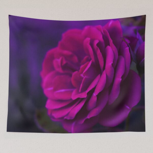 Item preview, Pink garden rose with a purple vibe designed and sold by Layla Reim.