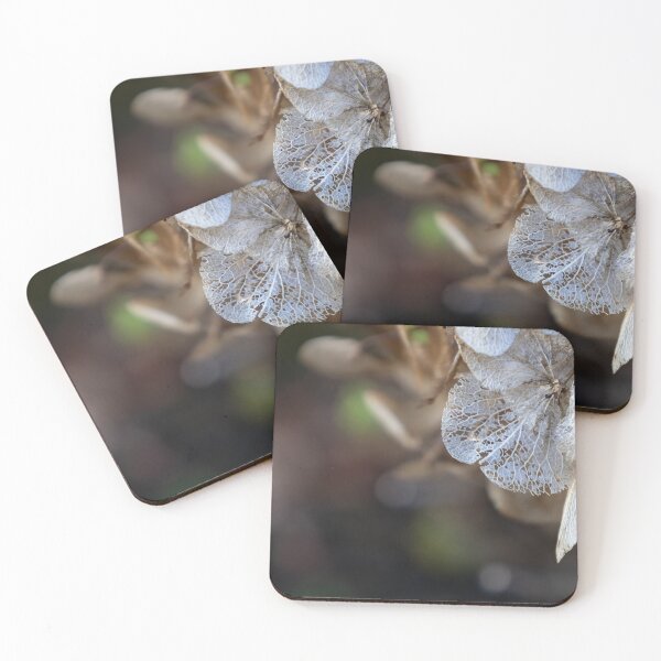 Item preview, Hydrangea designed and sold by Calidris Fotografie Steffi & Ben Köppler.