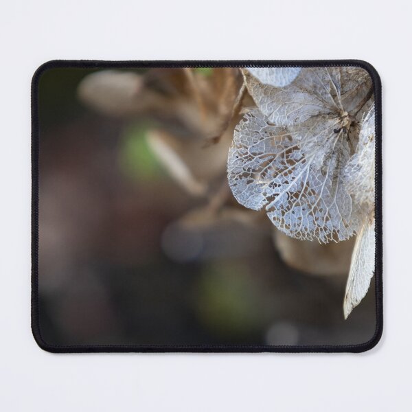 Item preview, Hydrangea designed and sold by Calidris Fotografie Steffi & Ben Köppler.