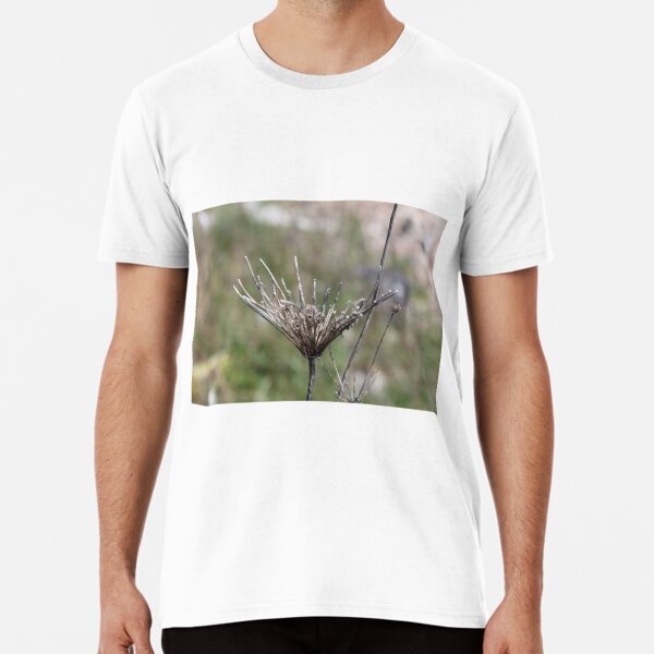 Grass, Nature, Mother Earth, Environment, Wildlife, Flora, Kind, Grain, Park Premium T-Shirt