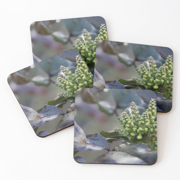 Item preview, Holly-leaved Barberry designed and sold by Calidris Fotografie Steffi & Ben Köppler.