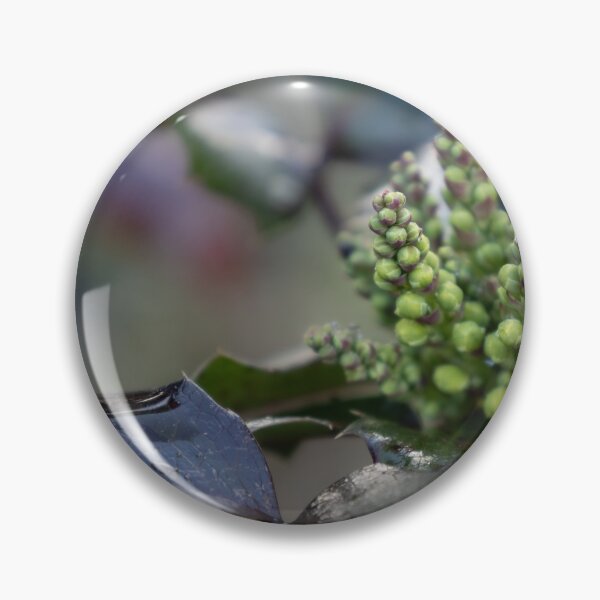 Item preview, Holly-leaved Barberry designed and sold by Calidris Fotografie Steffi & Ben Köppler.