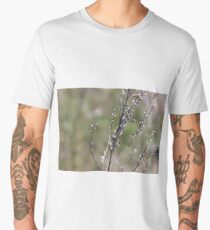 Bush, shrub, scrub, shrubbery, brushwood, boscage, tree, trees Men's Premium T-Shirt