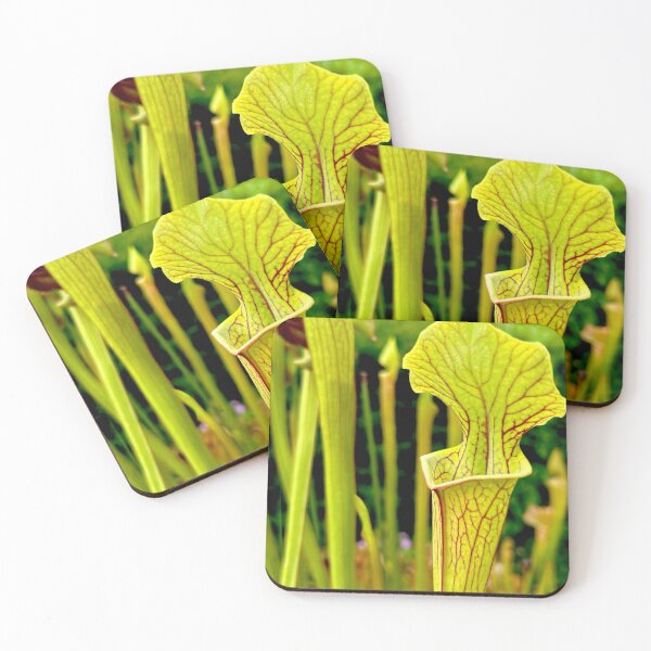 Item preview, Pitcher plant in the poison gardens  designed and sold by Amanda  Hernandez.
