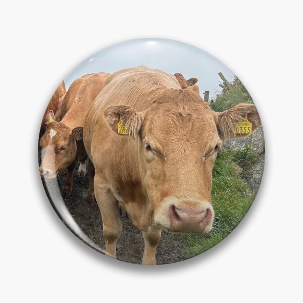 Item preview, Cattle at the cliffs of Moher Ireland  designed and sold by Amanda  Hernandez.