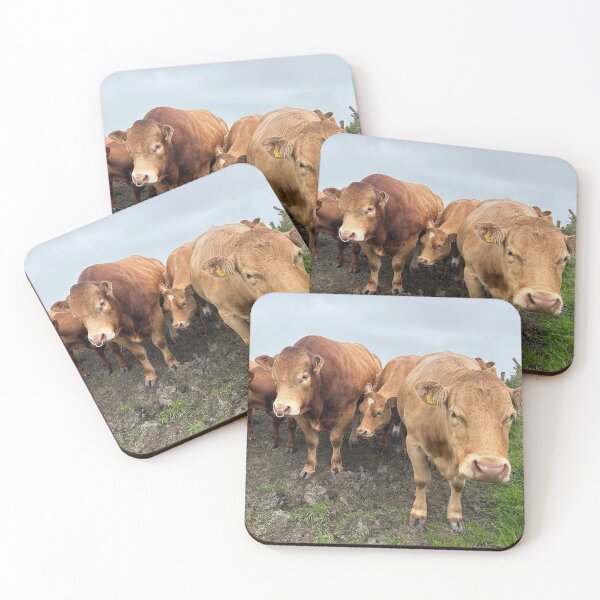 Item preview, Cattle at the cliffs of Moher Ireland  designed and sold by Amanda  Hernandez.