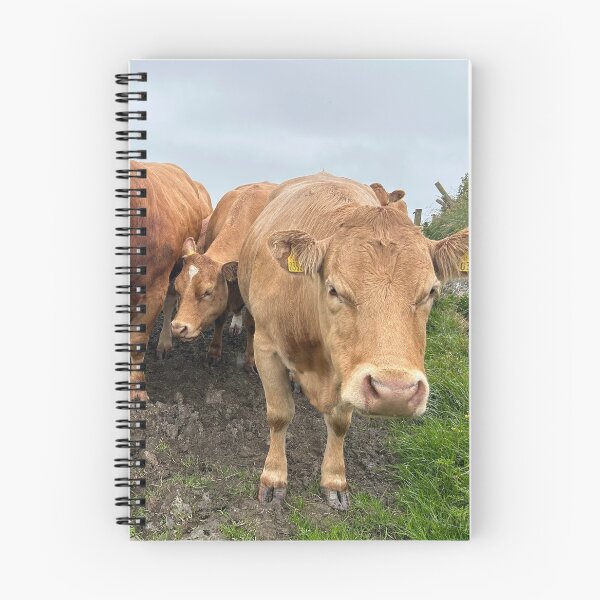 Item preview, Cattle at the cliffs of Moher Ireland  designed and sold by Amanda  Hernandez.